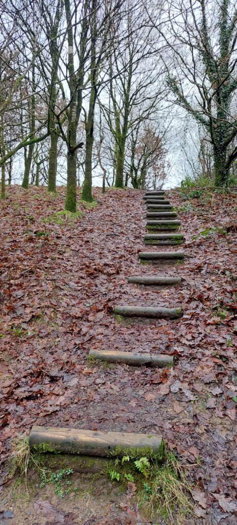 Henrhyd Hike in Brecon Beacons