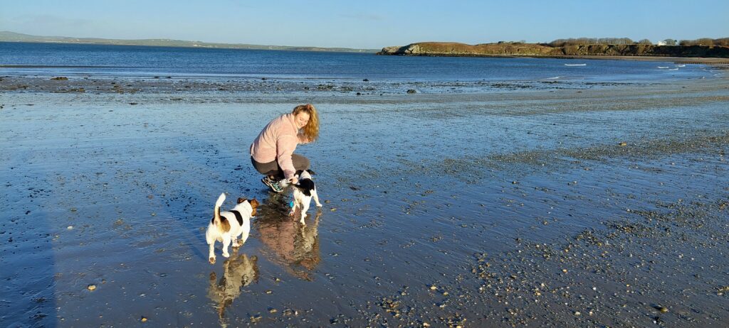 Free accommodation in the Anglesey 